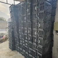سبدصادراتی تک ردیفه کاهوسالادی