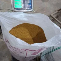 بذریونجه پایه بلند همدان|عمده‌فروشی|پارس‌آباد, |دیوار