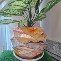 گلدان سفالی|گل و گیاه طبیعی|خمینی‌شهر, |دیوار