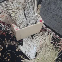 جارو دستی