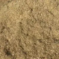 کاه لوبیا چیتی