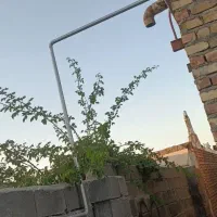 لوله کش گاز و  نرده حفاظ