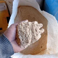 خوراک دام پرواری|لوازم جانبی حیوانات|تیران, |دیوار