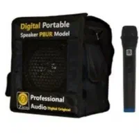 اکو همراه مینی زیکو با میکروفن UHF