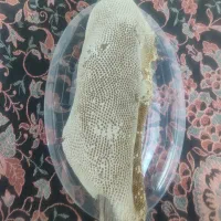 عسل کوهی کاملا طبیعی وتضمینی موجود هست