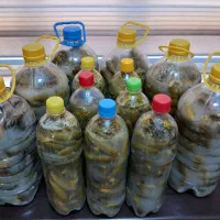 محصولات ارگانیک