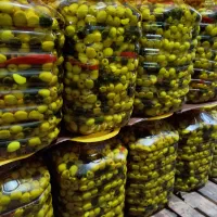 پخش زیتون های طعم دار و گریل شده|عمده‌فروشی|رودبار, |دیوار