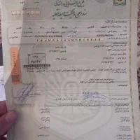 ایروکس گلکسی ۱۵۵ مدل ۴۰۱|موتورسیکلت|ورامین, ورامین|دیوار