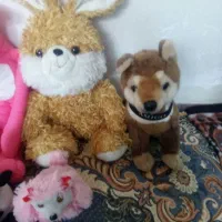 عروسک|اسباب‌بازی بچه|ارومیه, |دیوار