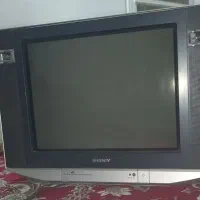 تلویزیون