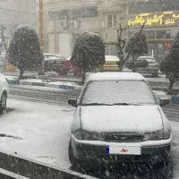 دوو سیلو مدل ۷۸