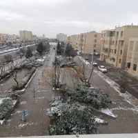 وانت کرایه با بهترین قیمت و نیروی کار