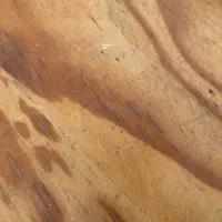 طلای کارکرده زنانه در حد نو