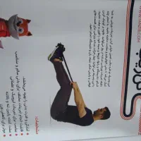 فنر شکم تن زیب