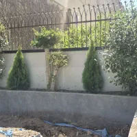 ارائه خدمات تخصصی باغبانی وباغبان و نگهداری وطراحی|خدمات باغبانی و درختکاری|اصفهان, نقش جهان|دیوار