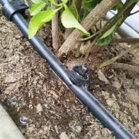 نصب و اجرای آبیاری قطره ای و بارانی|خدمات باغبانی و درختکاری|کرج, شهرک بنفشه|دیوار