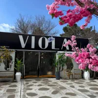 ویولا، گل و درختچه مصنوعی