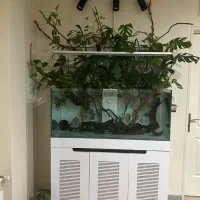 اکواریوم سوپر کلیر