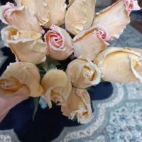 گل کریستالی|گل مصنوعی|رشت, پارک شهر|دیوار