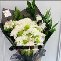 مداح اهلبیت جهت مجالس ختم