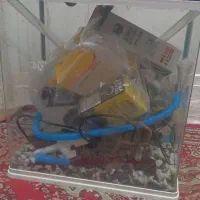 سلام آکواریوم خوشگل و سالم