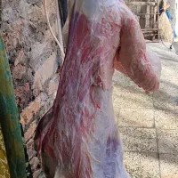 بسم اللە