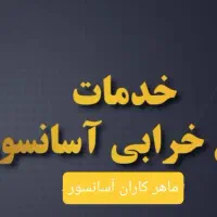تعمیر و رفع خرابی ، سرویس و نگهداری آسانسور تضمینی|خدمات پیشه و مهارت|نسیمشهر, |دیوار