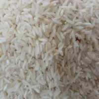 برنج فجر شاهی (طارم)
