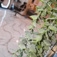 دعوت به همکاری،اصلاح کارو...|استخدام درمانی، زیبایی، بهداشتی|بم, |دیوار