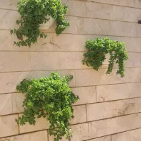 گلدان دیواری