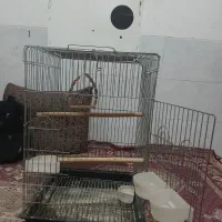 قفس پرنده