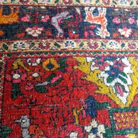 فرش کهنه قدیمی|فرش|زنجان, |دیوار