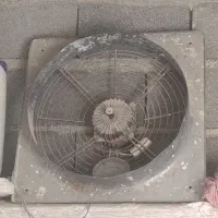 فن بزورگ