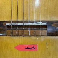 گیتار مدل رویال کلاسیک|گیتار، بیس، امپلیفایر|فردیس, فردیس|دیوار