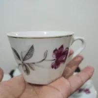 قهوه خوری آنتیک گل سرخی|ظروف سرو و پذیرایی|تهران, سازمان برنامه شمالی|دیوار