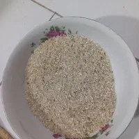 لاشه فجر سوزنی