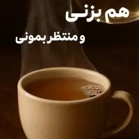 قهوه قارچ گانودرما