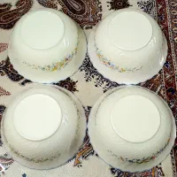 کاسه بزگ آرکوپال اصلی