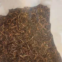 چای ساقه ایرانی لاهیجان مخصوص قهوه‌خانه