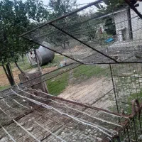 قفس برای انواع طیور