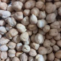 نخود کرمانشاه   تمیز و رسیده