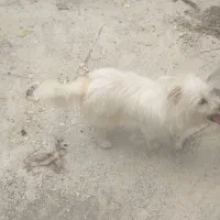 فروش فوری،فوری