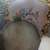 آموزش دف تمپو ضرب گیتار دوتارپل فجر|خدمات آموزشی|مشهد, ابوذر|دیوار