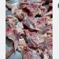 گردن مرغ پرگوشت و عالی برای حیوانات
