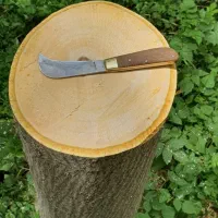 پیوند و هرس درختان|خدمات باغبانی و درختکاری|دماوند, دماوند|دیوار