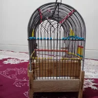 قفس|لوازم جانبی حیوانات|اراک, |دیوار