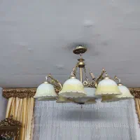 لوستر پذیرایی