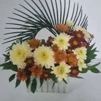 باکس های داوودی در رنگبندی قابل اجراست