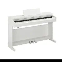 پیانو دیجیتال یاماها YDP105|پیانو، کیبورد، آکاردئون|تهران, سیمای ایران|دیوار