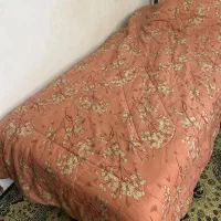 نیازمند پرستار سالمندوهمخانه